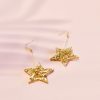 Product Name 8 earrings 02 a